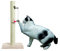 Karlie Kitty Fix, Katzenspielzeug ideal für Kratzbäume, Kunststoff ca. 23x4x4 cm (2 Varianten)