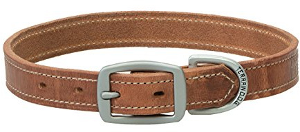 Terrain D.O.G. Harness Leather Dog Collar, 1 x 19