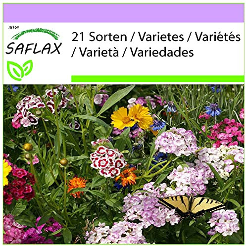 SAFLAX - Prado para mariposas - 1000 semillas - 21 Wildflower Mix