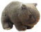 Bodhi2000 Plüschtiere Weiche Simulation Wombat Spielzeug Schöne Lebendige Ausdruck Geburtstagsgeschenk Gefüllte Meerschweinchen Tier Spielzeug Mädchen Plushie Geschenke für Jungen Mädchen Kinder -