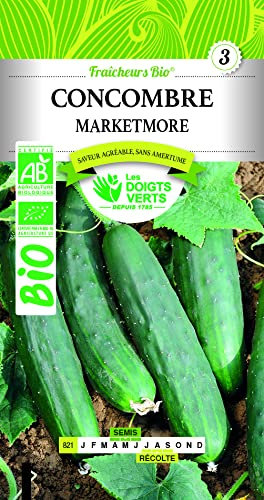 Concombre Marketmore Bio