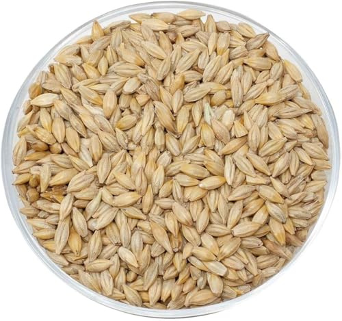 Leimüller Orzo da birra (25 kg)