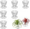 Gotetiso 6 Stück Luftpflanzen Halter Luftpflanzenhalter Edelstahl Rack Air Plant Vase Air Pflanzen Rack Geometrische Luft Pflanze Halter Tillandsien Display Rack Luftpflanzen Tillandsia Halter Stehend