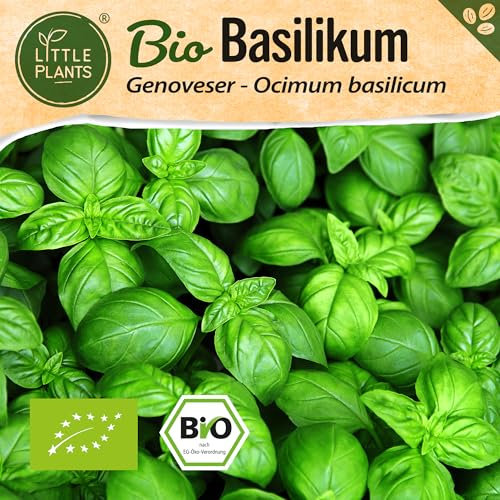 Little Plants BIO Basilikum Samen 500 Basilikumsamen Genoveser Kräutersamen Samenfest für Kräutergarten Kräuter Samen Küchenkräuter für Küche, Balkon und Garten