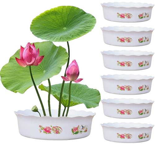 Muzrunq Planteur de Bol de Lotus 6pcs Lotus Bowl Hydroponic Planter sans Drainage de Bol décoratif Rond Planteur pour Le lys Narcissus plantant 7x2.3.