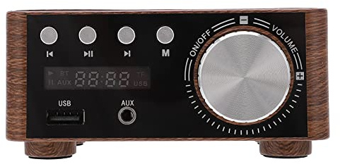 Power Amplifier, Stereo 2-Channel, 100W x 2, U Disk Support, Home Audio, Treble & Bass Control, Stable Connection, DAC, Phono Pre-Amp, 3.5mm