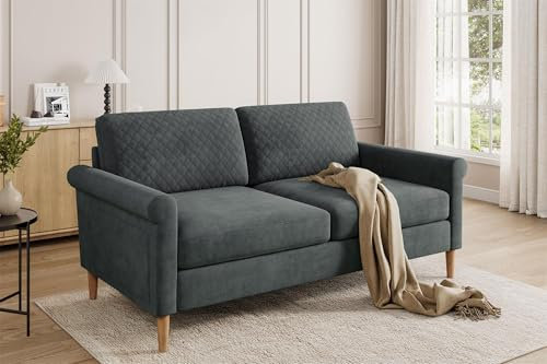 Vesgantti Stoff Doppelsofa 164cm, 2 Sitzer Sofa Grau mit beidseitigen Taschen, Sofa mit Kissen Montage ohne Werkzeug für Wohnzimmer, Schlafzimmer, Büro, kleinen Raum 164L*76D*85H cm