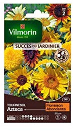 Vilmorin - Sachet graines Soleil Tournesol Azteca