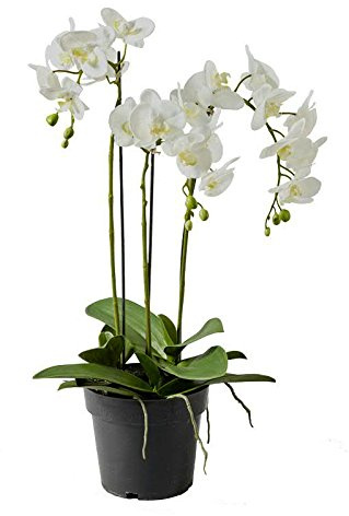 Konstgjord orkidé i kruka – vit blomma och grön knopp – naturtrogen phalaenopsis – höjd: 70 cm
