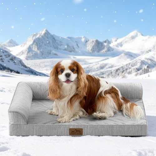 COZY KISS Cooling Dog Bed, Orthopedic Foam Dog Bed with Sides, Removable Cover & Waterproof Lining and Nonskid Bottom, Comfortable Pet Beds for Dogs, Grey (30 L x 20 W x 6 Th)
