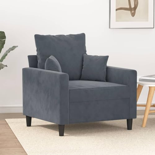 Willood Sillón, Asiento con Reposabrazos Respaldo, Sillón de Descanso Relax Televisión, Sofá Tapizado para Salón Hogar, Terciopelo Gris Oscuro