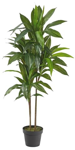 Nearly Natural 48in Artificial Dracaena Plant with Real Touch Leaves and Multi Tonal Trunks, Large Indoor Faux Tree for Living Room and Office Decor