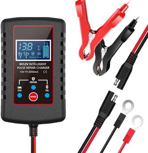 POFET Caricabatterie per Auto 6 V 12 V Caricabatterie Intelligente per Moto per Auto, Camion, Moto, Tosaerba, Barche, batterie Marine