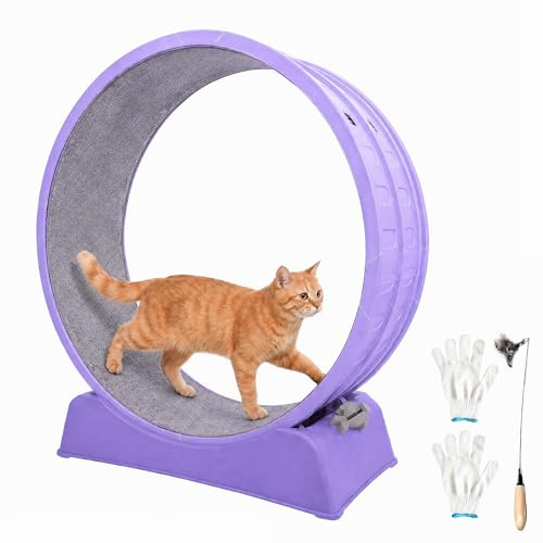 33 Large Cat Wheel with Detachable Carpet & Teaser for Running/Walking/Training, Update Cat Treadmill for Weight Loss, Playing, Fitness & Pent-Up Energy, Cat Exercise Wheel - Purple