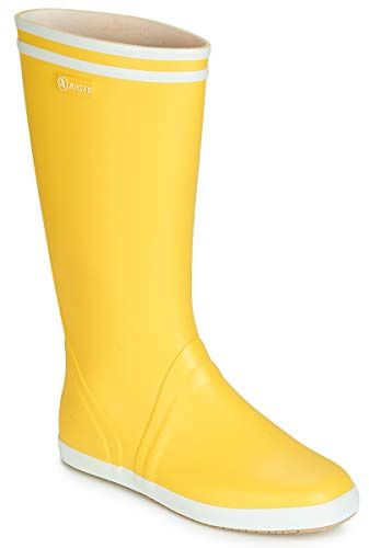Aigle herr GoelandRegnsko