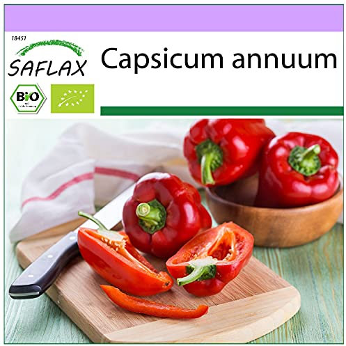 SAFLAX - BIO - Poivron - California wonder - Rouge - 20 graines - Capsicum annuum