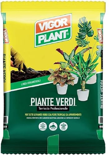 Vigorplant terriccio specifico per Piante Verdi 1 confezione da 20 LT