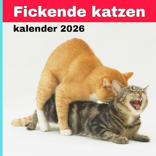 Fickende katzen kalender 2026