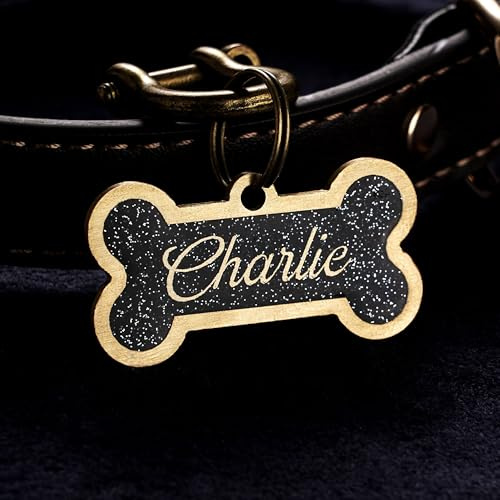 Medaglietta identificativa personalizzata in ottone per cani, medaglietta personalizzata in resina a forma di osso, medaglietta artigianale, regalo per gli amanti degli animali (Style 1)