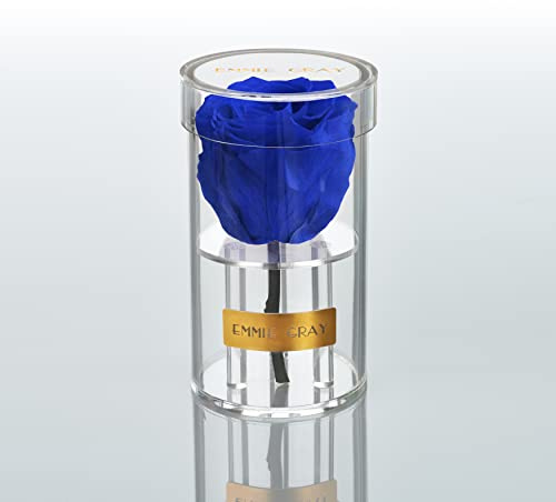 EG EMMIE GRAY Crystal Infinity | Akryl | – Drömlik Infinity Rose, 1–3 år hållbar ros, akrylburk med äkta, konserverad ros, ädel premium ros Ocean Blue