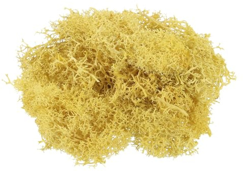 sourcing map 0.35 OZ Musgo Falso Musgo Artificial Musgo Natural Preservado para Manualidades Proyectos Florales Decoración DIY de Pared Boda Jardín Patio Mesa Terrarios (Amarillo)
