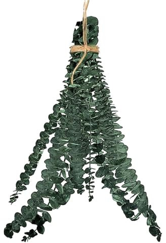 Dried Eucalyptus Bundles for Shower - Natural Hanging Shower Decor with Real Eucalyptus Leaves