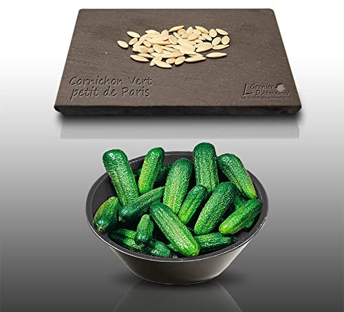 50 graines à semer - Le Grenier d'Abondance - CORNICHON Petit Vert de Paris - Cucumis sativus