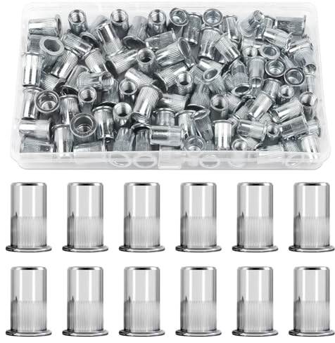 Aoreun 100 Pezzi Dadi per Rivetti Ciechi, Rivetti Filettati in Acciaio Inox, M6 Dadi Filettati a Testa Piatta per Fissaggi in Legno, Metallo, Acciaio