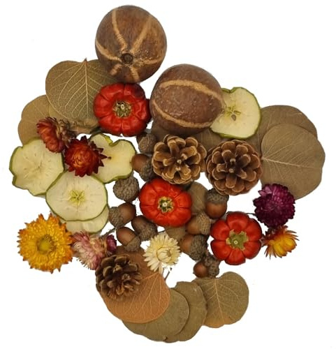 Natural Autumn Dried Decoration Set – Eco-Friendly Seasonal Decor Kit with Pine Cones, Mini & Bellini Pumpkins, Apple Slices, Helichrysum, Fohla Leaves & Acorns – Rustic Table & Craft Supplies