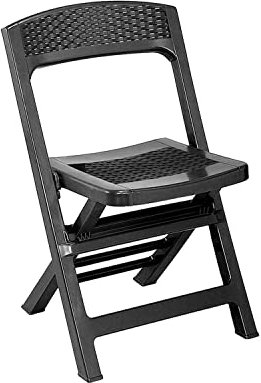 Silla Plegable de Resina Asso 47x48x77cm Progarden