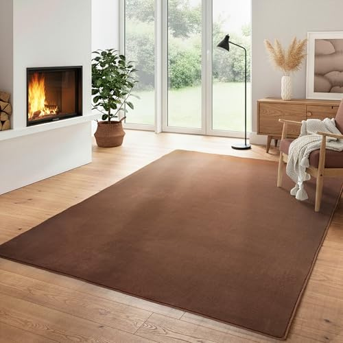 Einfarbiger Teppich Wohnizmmer, Esszimmer, Schlafzimmer, Küchenteppich Waschbar rutschfest Teppich Braun Flauschig Kurzflor Carpet, Größe: 60 x 110 cm