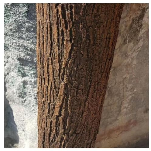 Decorazione realistica del Pannello della Corteccia dell'albero per Uso Interno/Esterno, Copertura Leggera della Corteccia Falsa 1X1m(1X5m)