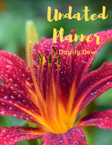 Daylily Dew Undated Planner: The Daylily Dew with 2 years plans and 24 months with Flexible Glossy Cover