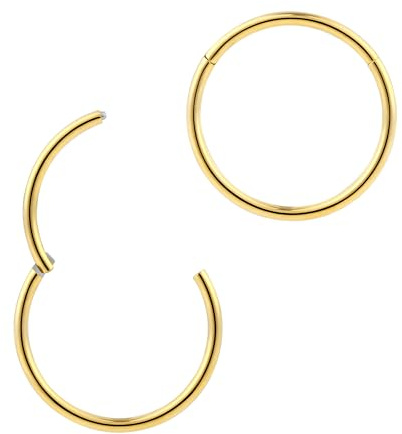 365 SLEEPERS 2 delar rostfritt stål unisex 18G gångjärnsbågesegment Läpp Nosring Septum Helix Tragus Sleeper Örhängen 6mm - 13mm
