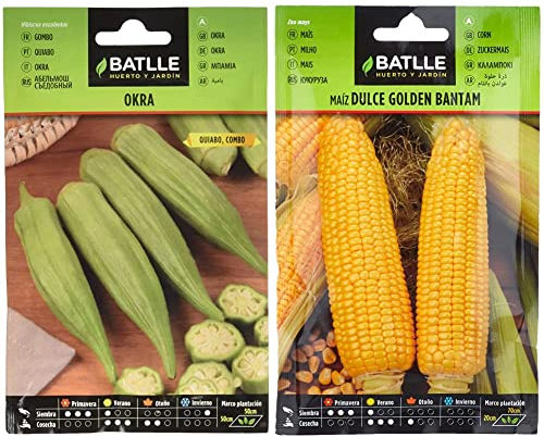 Okra Semillas Verdura + Maiz dulce GOLDEN BANTAM
