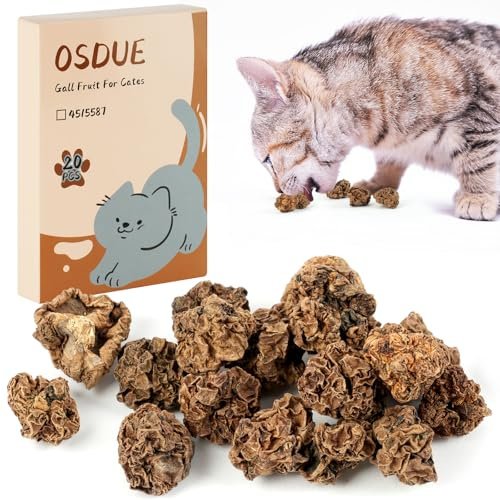 OSDUE Natural Silver Vine Cat Chew Toy, 40g Dried Silvervine Gall Fruit, Cat Toys Cleaning Toy Chew Ball, Dental Cleaning Toy for Cats Kitten Teething and Stress