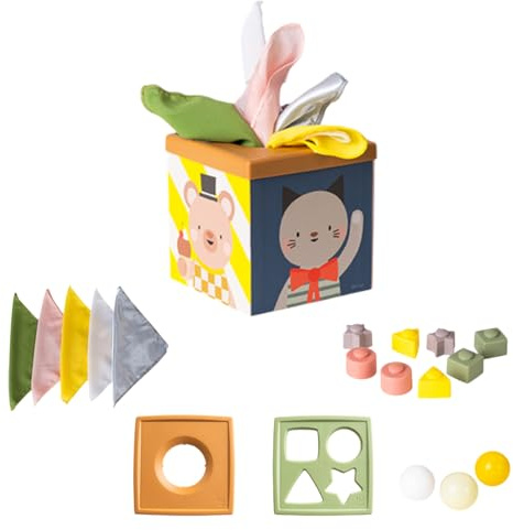 Taf Toys Multi-Sensory Montessori Baby Toy Infant Toys 6-12 Months 16pcs Pieces Baby Tissue Box Toy, Shape Sorter, Play Balls Learning Toys Toddlers 1-3 Motor Skills Development Toddler Activity Cube