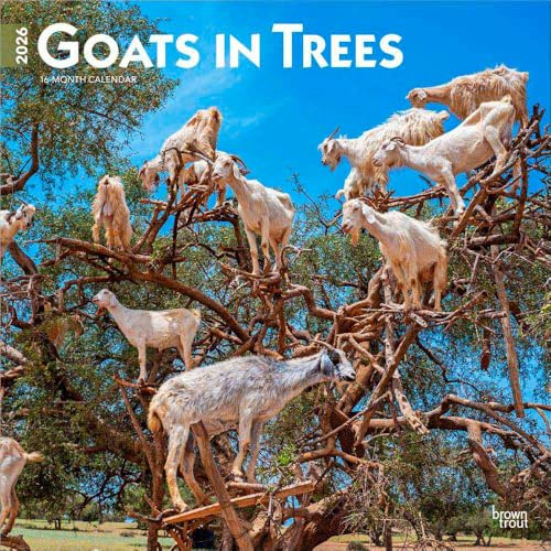 Goats in Trees - Ziegen in Bäumen 2026 - 16-Monatskalender: Original BrownTrout-Kalender [Mehrsprachig] [Kalender]