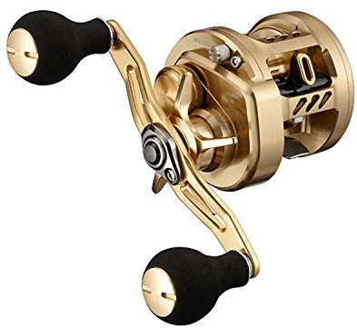 Daiwa 21 Basara 39.4 inches (100 cm)