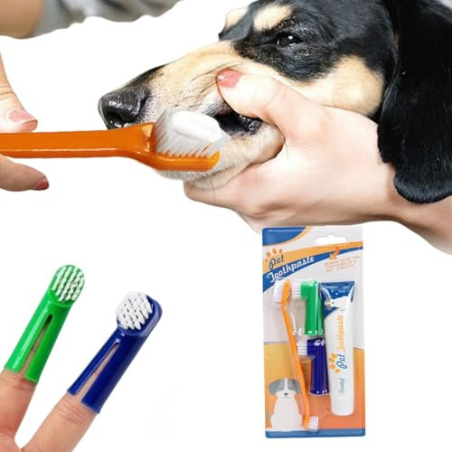 Hund Zahnpflege Set,Hundezahnpasta gegen Zahnstein,Hundezahnbürste,Hundezahnpasta,Hundezahnpasta Gegen Mundgeruch,Hundezahnpasta mit Fingerling,mit Zahncreme Zahnbürste (M-Vanille Geschmack)
