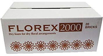 FloristryWarehouse Florex Dry Foam Floral Brick Box of 20