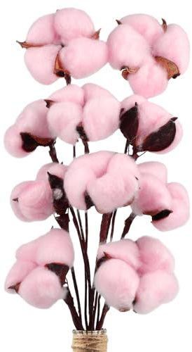 Larber 10 st bomullsstjälkar naturliga torkade bomullsblommor torkad bomull för album bröllop balkong familj matbord arrangemang blomma (rosa)