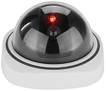 BW Caméra de surveillance factice pour intérieur/extérieur, fausse caméra de surveillance dôme avec caméra de sécurité émulationnelle