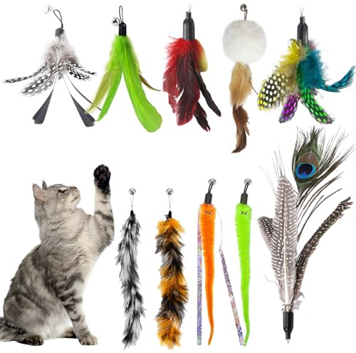 AMFUN Lot de 10 Jouet à Plumes pour Chats, Têtes de Rechange pour Canne à Pêche, Recharges de vers et Plumes pour Chat pour Chatons et Chats d'intérieur Jouets d'exercice et d'amusement