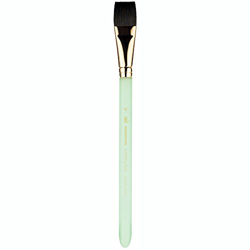 Princeton Tec PRINCETON NEPTUNE, Series P4750, tvättbar platt stl. 1/4 tum, kort skaft