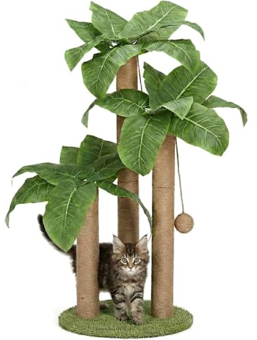 31.5Inch Cat Scratching Post,Cat Scratcher Tree with 3 Scratching Poles & 2 Interactive Dangling Balls,Cats Scratching Posts for Indoor Kitten & Adult Cats (Banana Tree)