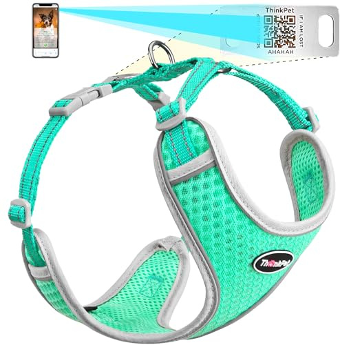 ThinkPet Arnés Reflectante Transpirable de Malla de Aire Suave con código QR para Perro, sin estrangulamiento, Chaleco para Cachorros, Perros pequeños y medianos, Gatos pequeños, Color Verde Azulado