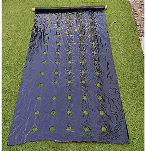 Perforierte Mulch-Gewächshausfolie für Tomaten-Erdbeerwachstum, 1 Stück (0,95 x 50 m) Unkrautbekämpfung und Landwirtschaft, 4,5 cm Lochgröße