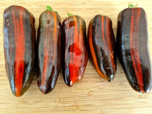 Candy Cane Chocolate Cherry Pepper Seeds - 10 Fresh Seeds Candy Cane Chocolate Cherry Sweet Pepper Seeds