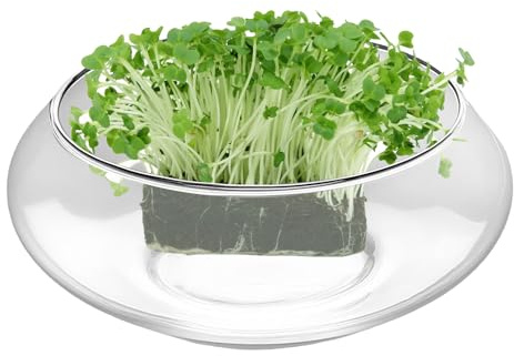 Renchey Jarrón De En Forma De Pecera - Maceta Hidropónica para Plantas,Pecera Ancha Y Baja para Plantas Suculentas Bonsáis Decoración De Interior Centro De Mesa Decorativas